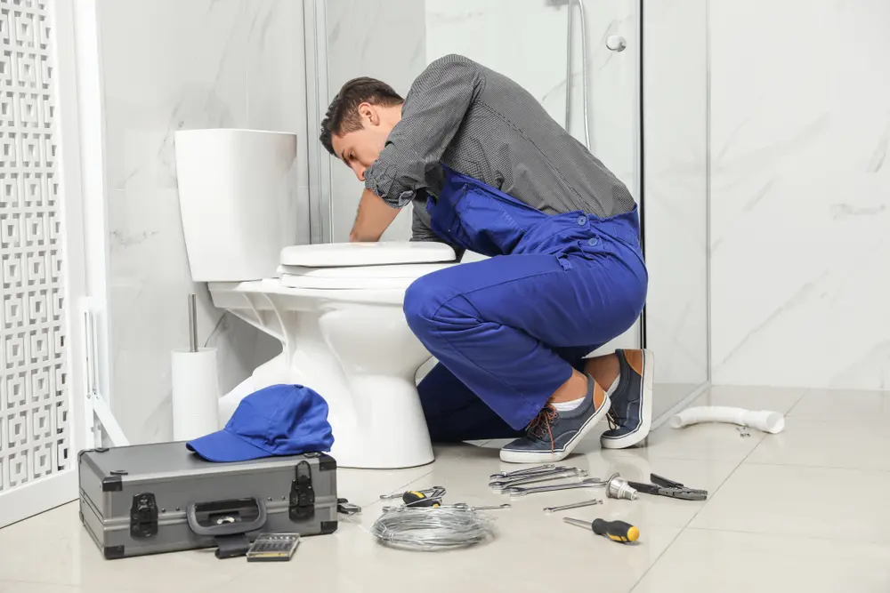 Toilet Installation in Tate City